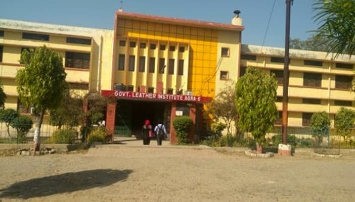 Government Leather Institute-image