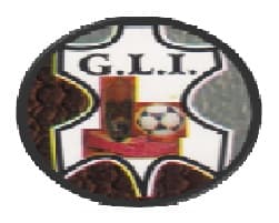 Government Leather Institute Agra-logo