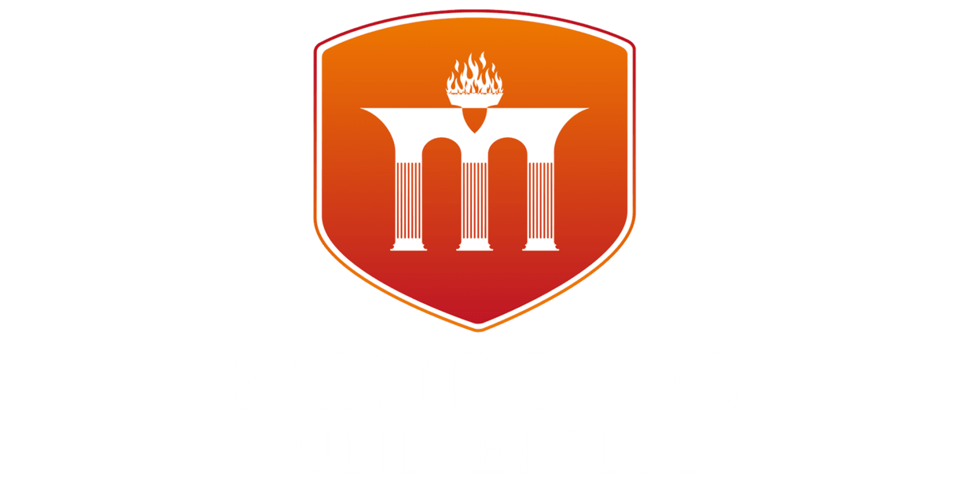 Mandsaur Institute of Physical Education-image