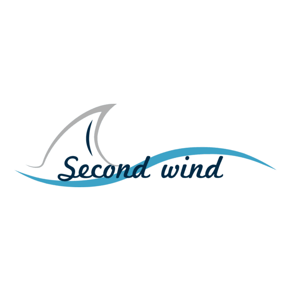 The Second Wind-image