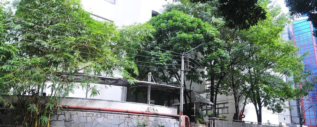 Bansilal Badruka School of Music and Dance-image