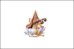 S.D.S.N Mahavidhalaya-logo