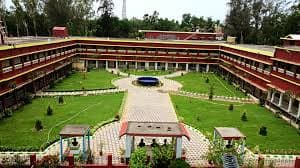 Rural Institute of Higher Studies-gallery-image-1