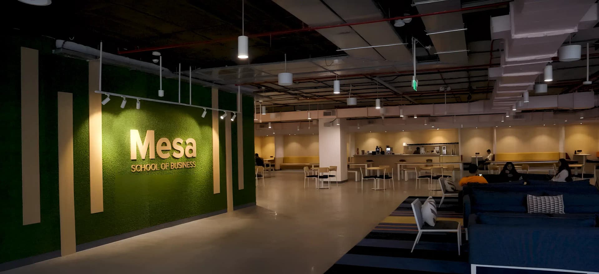 Mesa School of Business-image