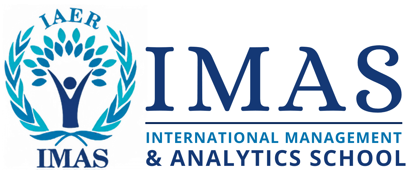 International Management & Analytics School-logo