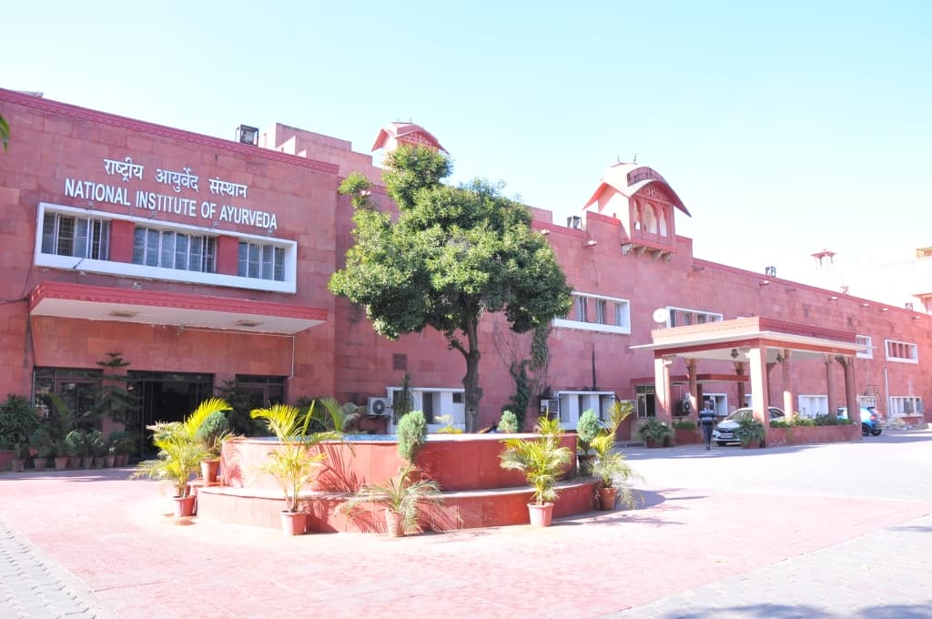 National Institute of Ayurveda-image