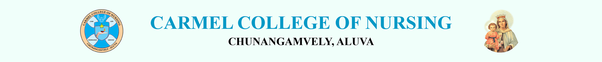 Carmel College of Nursing Chunangamvely-logo