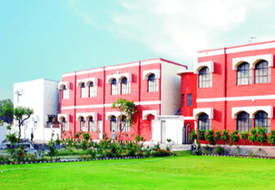 BDS Institute of Management-image