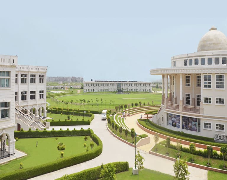 Noida International University, School of Sciences-image