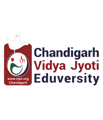 Vidya Jyoti Eduversity-image