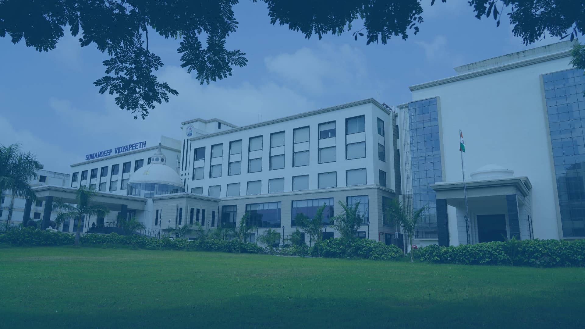 Department of Pharmacy, Sumandeep Vidyapeeth-image