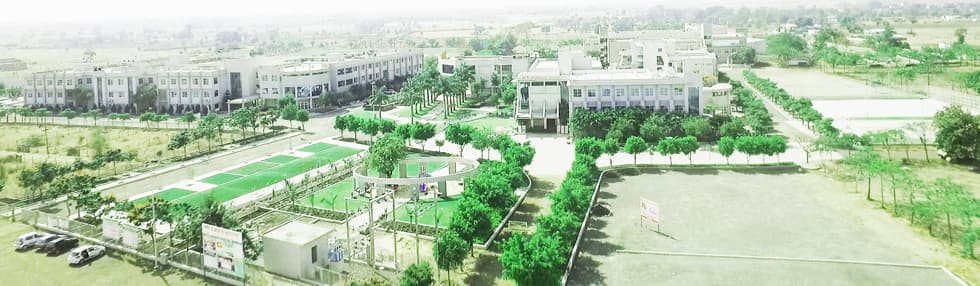 IES College of Education-image