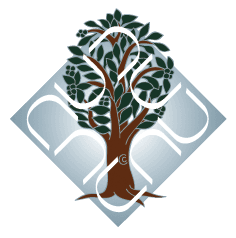 Ambedkar University Delhi-logo