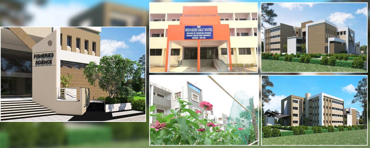 College of Fisheries Science, Navsari-gallery-image-1