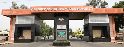 COA Hisar-gallery-image-2