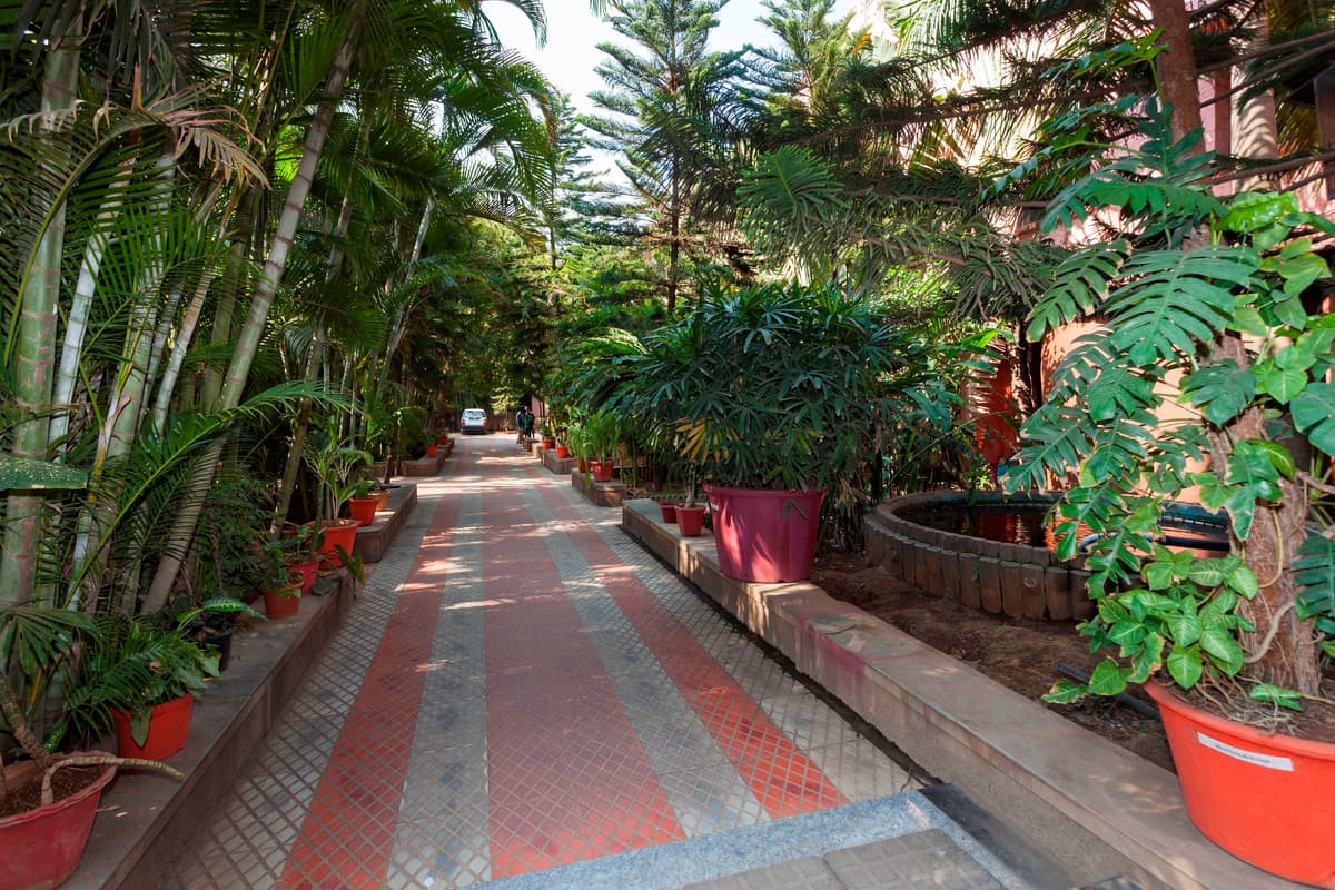 G. K. Gokhale College-gallery-image-3