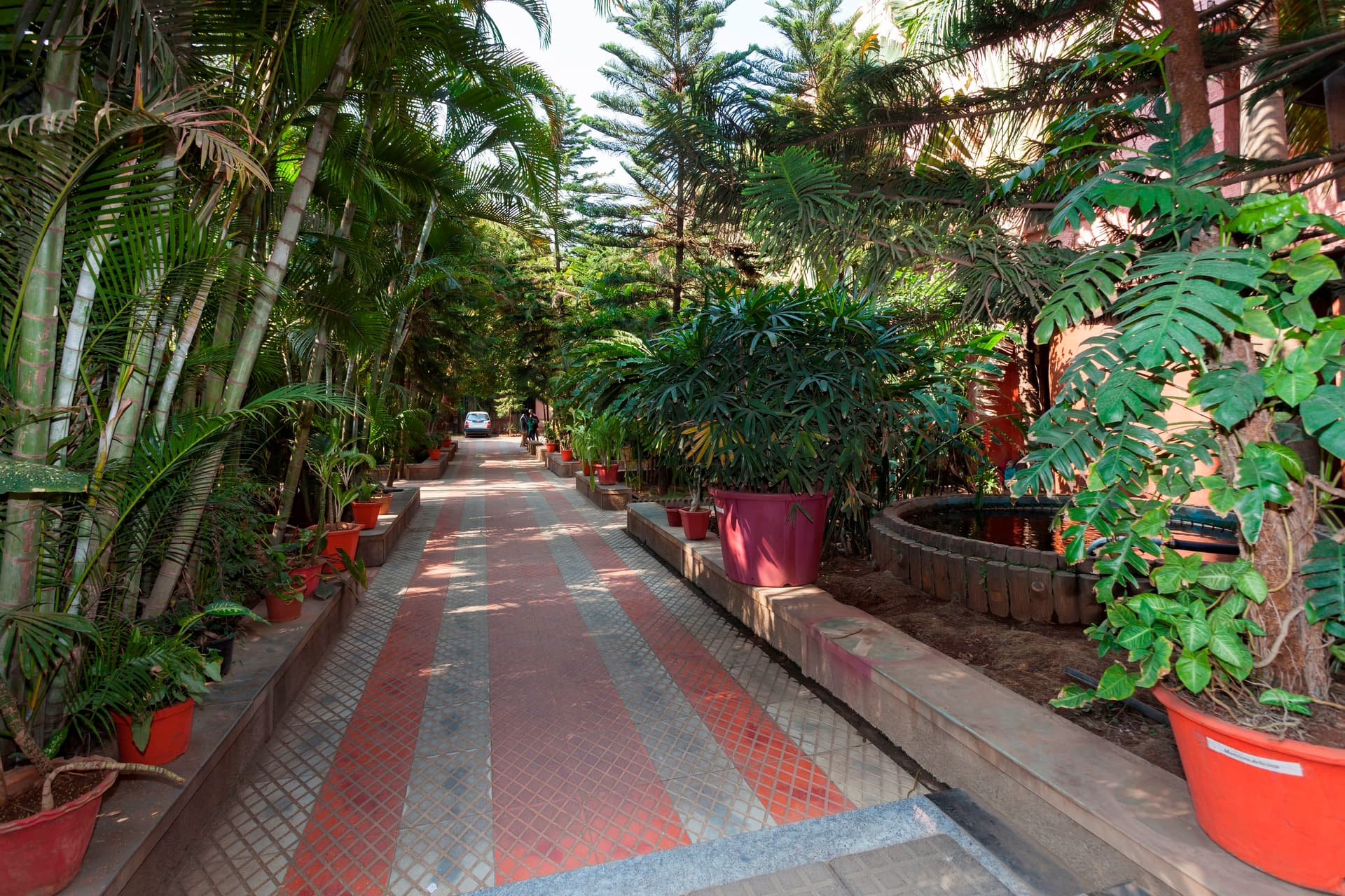 G. K. Gokhale College-image