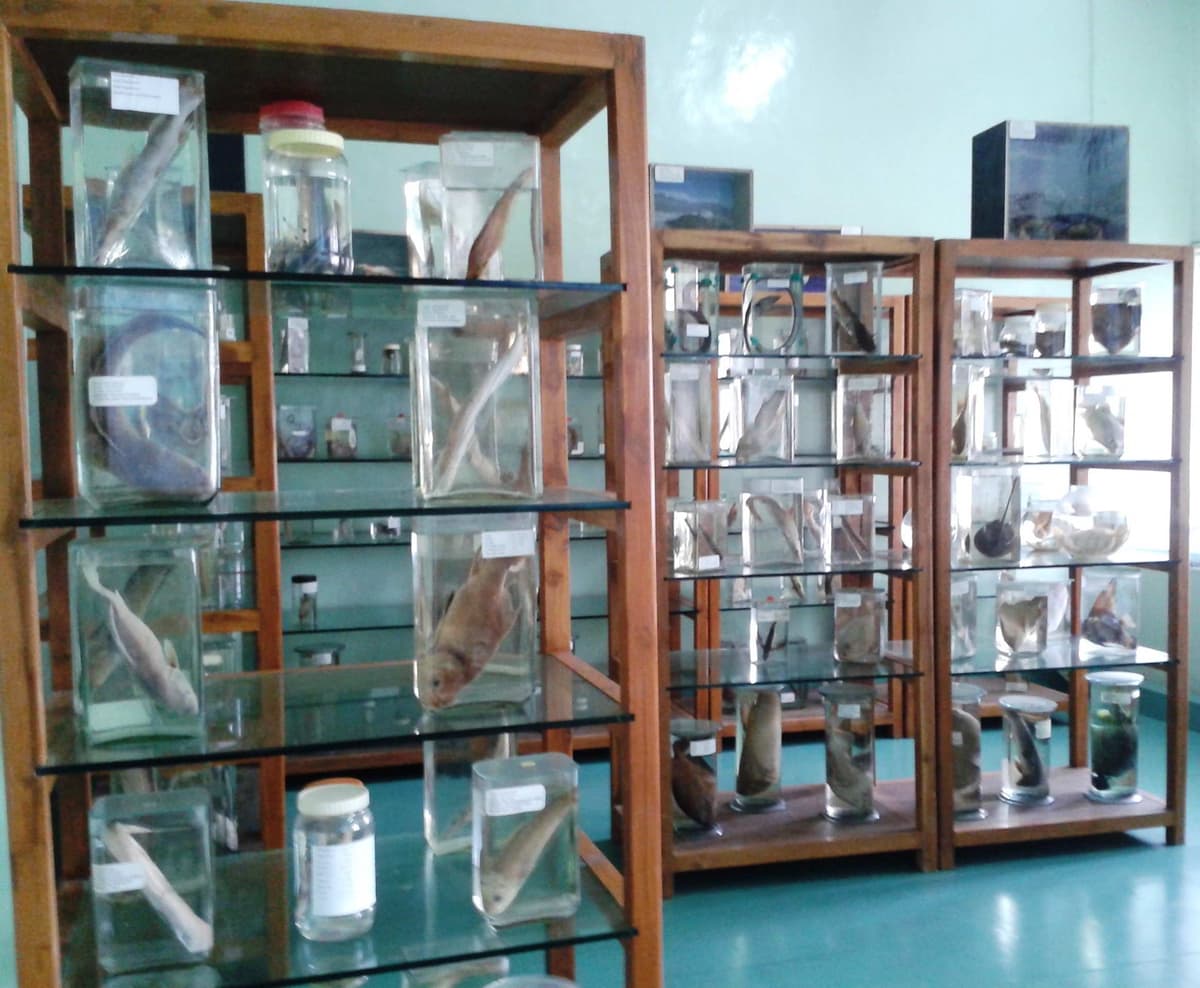 College of Fisheries, Ratnagiri-gallery-image-2