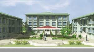 Bharati Vidyapeeth College of Ayurved-image