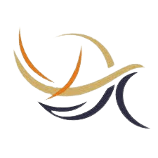 Datta Meghe Institute of Management Studies logo