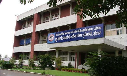 CoVS Ludhiana-image