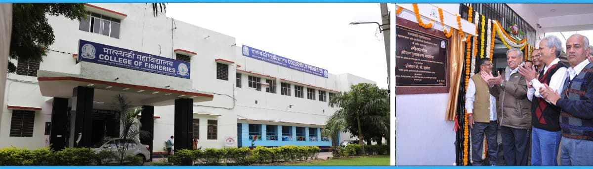 COLLEGE OF FISHERIES, Udaipur-gallery-image-4