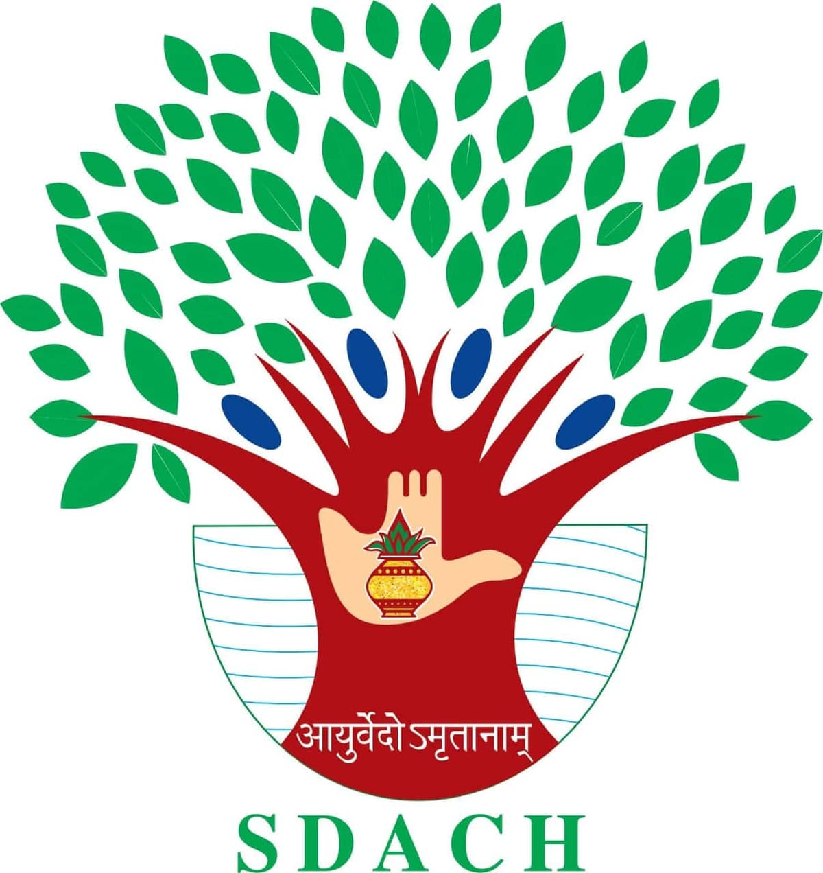 SDAC Chandigarh-gallery-image-1