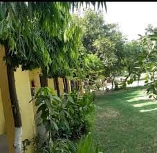 SMVV-gallery-image-5