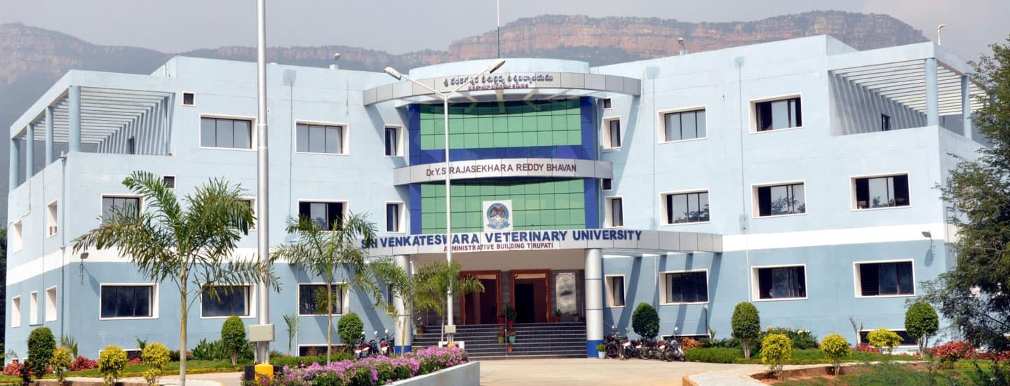SVVU Tirupati-image