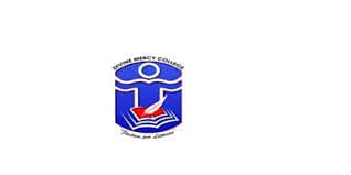 DMC Aizawl-logo