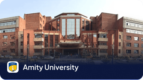 Amity University