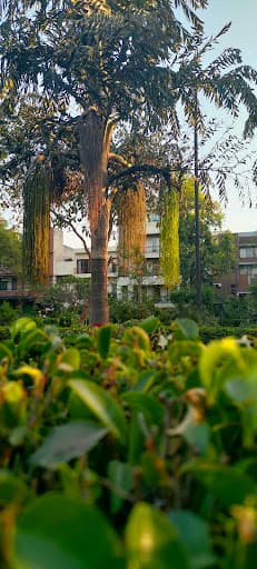 STCC Hazaribagh-gallery-image-5