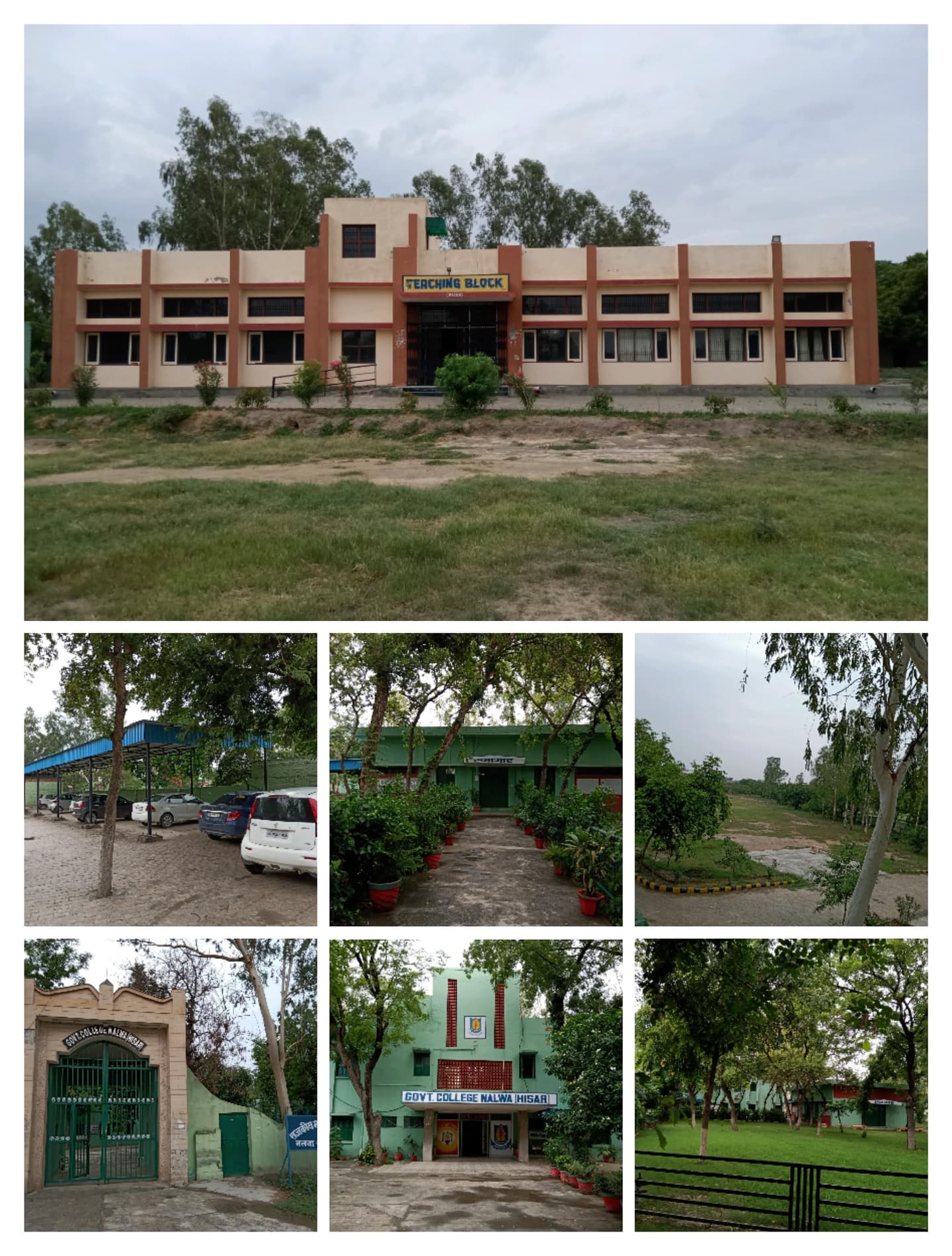 Government College Nalwa-image