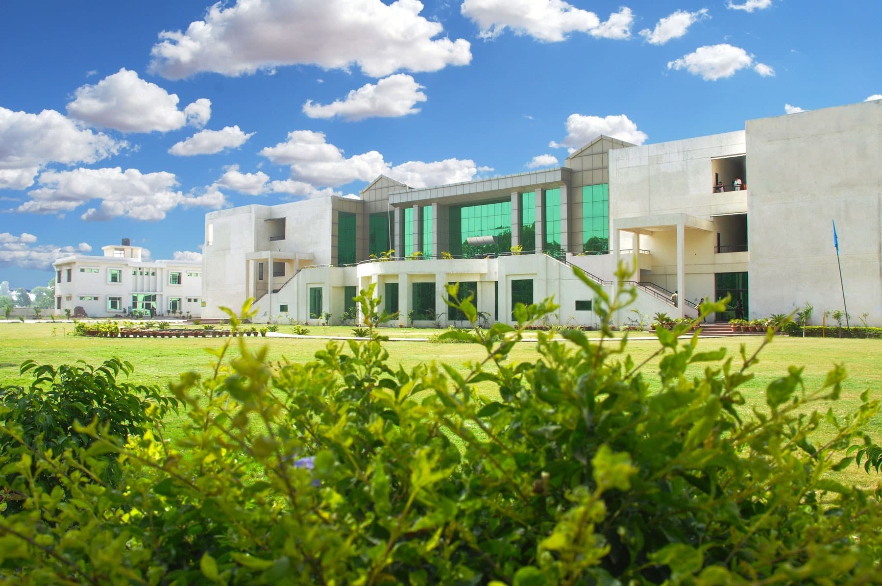 Ch Devi Lal College of Education-image