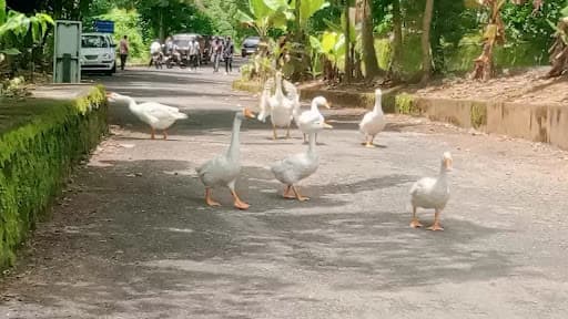 Christ Knowledge City-gallery-image-6