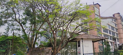 DCSMAT-gallery-image-6