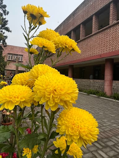 Miranda House-gallery-image-6