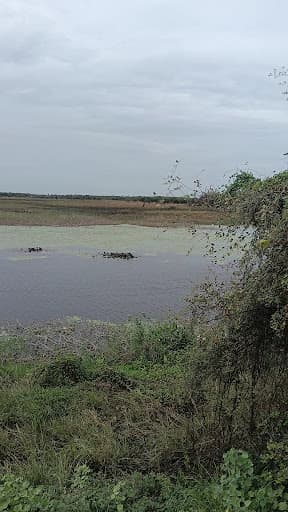ICE Thiruvallur-gallery-image-7