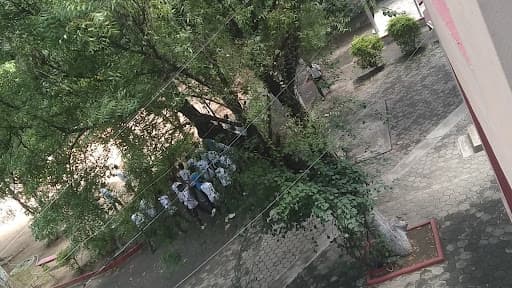 SRKV College of Education-gallery-image-7