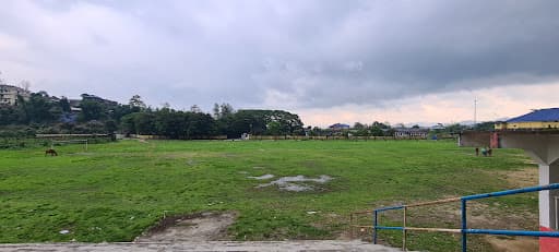 DNGC-gallery-image-6