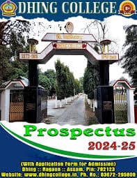 Dhing College-image