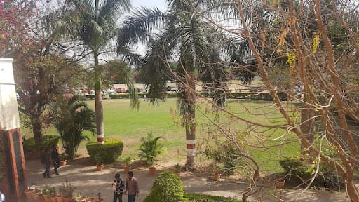 LIET-gallery-image-7