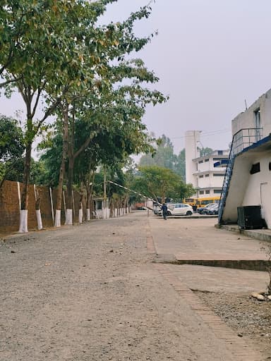 AIAS-gallery-image-6