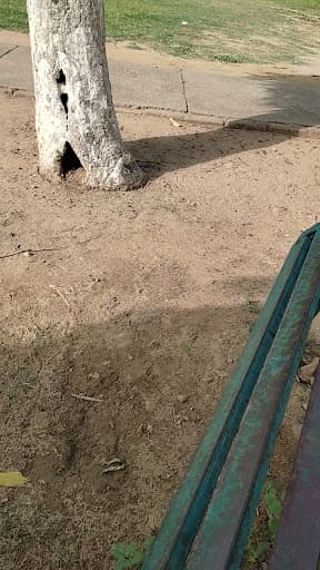 GMC Patiala-gallery-image-7