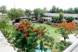 DAV College Bathinda-gallery-image-1