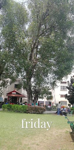 Mata Gujri College-gallery-image-6