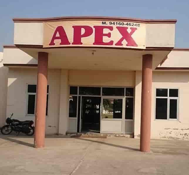 Apex College of Education-image