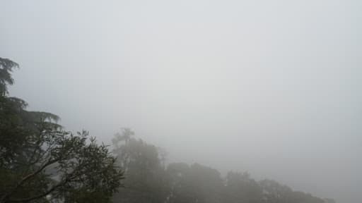 HPU Shimla-gallery-image-4