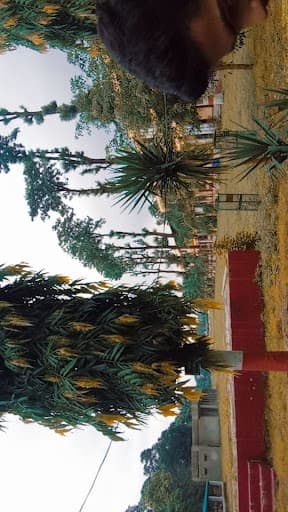 SGRR PG College Dehradun-gallery-image-7