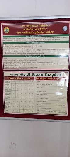 PAU Ludhiana-gallery-image-5